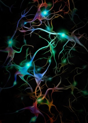 Neurons Network
